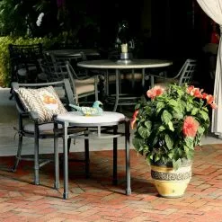 Coupon 😉 Costa Farms 10 in. 26 in. to 32 in. Tall Premium Hibiscus Flowering Bush Grower's Choice Bloom Color Live Outdoor Plant 🎉 -Pavestone || Costa Farms Shop costa farms annuals co 10hibbush 3 gp 1f 1000