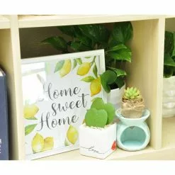 Outlet 👏 Costa Farms Sweetheart Hoya in 2.5in. White Ceramic Planter 🎁 -Pavestone || Costa Farms Shop costa farms indoor plants 2 5hoyalifewh 44 1000