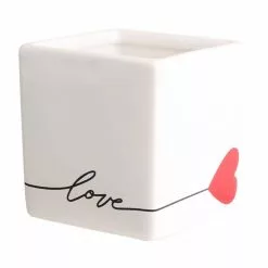 Outlet 👏 Costa Farms Sweetheart Hoya in 2.5in. White Ceramic Planter 🎁 -Pavestone || Costa Farms Shop costa farms indoor plants 2 5hoyalifewh 4f 1000