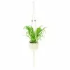 Outlet 🔔 Costa Farms Bird's Nest Fern Plant in 6 in. Premium Ceramic with Macrame Hanger 🌟 2 Outlet 🔔 Costa Farms Bird's Nest Fern Plant in 6 in. Premium Ceramic with Macrame Hanger 🌟 -Pavestone || Costa Farms Shop costa farms indoor plants 6birdfernschang 64 1000