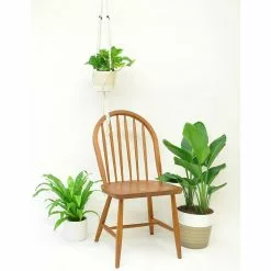 Promo ⌛ Costa Farms Pothos Plant in 6 in. Premium Ceramic with Macrame Hanger ⭐ -Pavestone || Costa Farms Shop costa farms indoor plants 6pothschang 1f 1000