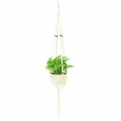 Promo ⌛ Costa Farms Pothos Plant in 6 in. Premium Ceramic with Macrame Hanger ⭐