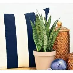 Best Sale ๐ Costa Farms Snake Plant, Sansevieria in 6in Grower Pot, Grower's Choice โค๏ธ 8 Best Sale ๐ Costa Farms Snake Plant, Sansevieria in 6in Grower Pot, Grower's Choice โค๏ธ -Pavestone || Costa Farms Shop costa farms indoor plants 6sanz c3 1000