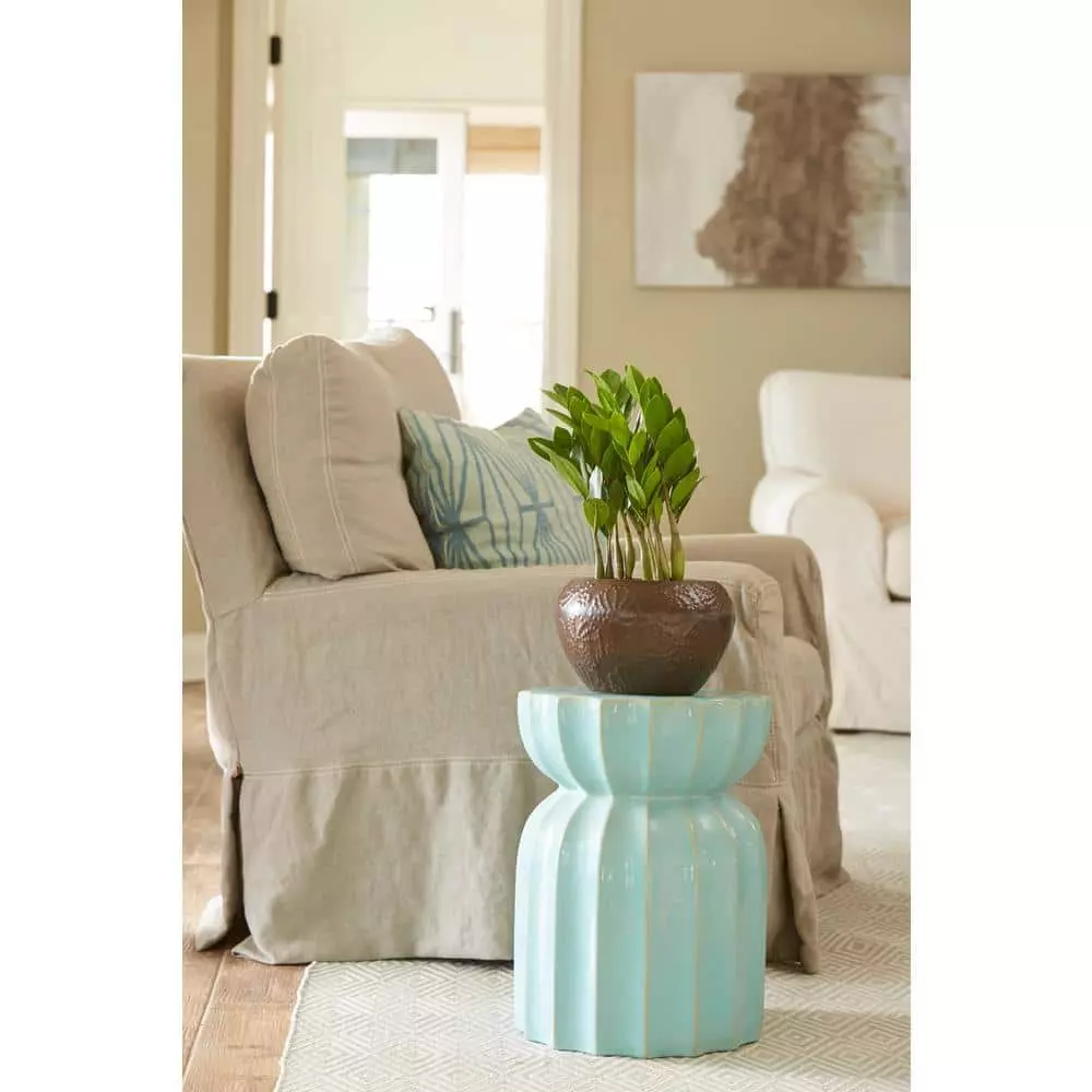 Deals ๐ Costa Farms ZZ Plant in 6 in. Grower Pot โญ 7 Deals ๐ Costa Farms ZZ Plant in 6 in. Grower Pot โญ - Image 5