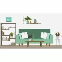 Best reviews of ⭐ Costa Farms Trending Tropicals Little Swiss Monstera Plant in 6 in. Ceramic Pot 🥰 -Pavestone || Costa Farms Shop costa farms indoor plants co 1 41mon 3 tr 1f 1000