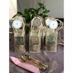 Coupon ✨ Costa Farms 2 in. Mini Succulents Plants in Mini Cube Ceramic (3-Pack) ❤️ 13 Coupon ✨ Costa Farms 2 in. Mini Succulents Plants in Mini Cube Ceramic (3-Pack) ❤️ -Pavestone || Costa Farms Shop costa farms indoor plants co 2suc 13 cube 44 1000