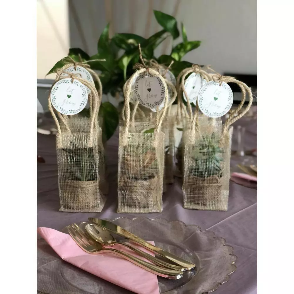 Coupon ✨ Costa Farms 2 in. Mini Succulents Plants in Mini Cube Ceramic (3-Pack) ❤️ 7 Coupon ✨ Costa Farms 2 in. Mini Succulents Plants in Mini Cube Ceramic (3-Pack) ❤️ - Image 5