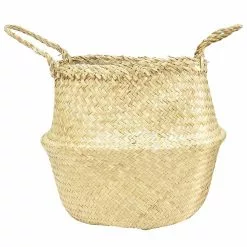 Buy ๐ฅฐ Costa Farms 9.25 in. White Bird Plant in Natural Decor Basket ๐ 16 Buy ๐ฅฐ Costa Farms 9.25 in. White Bird Plant in Natural Decor Basket ๐ -Pavestone || Costa Farms Shop costa farms indoor plants co 3 wb11 sea fa 1000