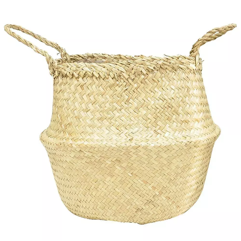 Buy ๐ฅฐ Costa Farms 9.25 in. White Bird Plant in Natural Decor Basket ๐ 9 Buy ๐ฅฐ Costa Farms 9.25 in. White Bird Plant in Natural Decor Basket ๐ - Image 7