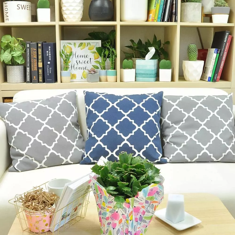 Best Pirce π Costa Farms 6 in. Fresh π
Christmas Cactus Grower's Choice - Pink, Red or White (Live 2-Pack) π― 3 Best Pirce π Costa Farms 6 in. Fresh π
Christmas Cactus Grower's Choice - Pink, Red or White (Live 2-Pack) π―