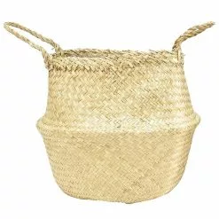 Deals 😀 Costa Farms 9.25 in. Aglaonema, Chinese Evergreen Plant in Natural Decor Basket 😀 12 Deals 😀 Costa Farms 9.25 in. Aglaonema, Chinese Evergreen Plant in Natural Decor Basket 😀 -Pavestone || Costa Farms Shop costa farms indoor plants co aa10 3 sea 1f 1000