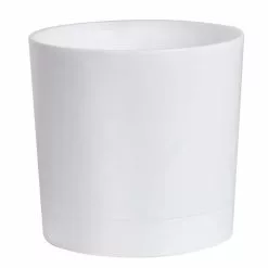 Wholesale 👏 Costa Farms 4 in. Bromeliad Plant Grower's Choice Colors in White Pot 🔔 -Pavestone || Costa Farms Shop costa farms indoor plants co bro4 3 wht g 1f 1000