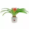 Outlet 🛒 Costa Farms Bromeliad Plant Grower's Choice Colors in 4 in. Decor Pot 🔥 2 Outlet 🛒 Costa Farms Bromeliad Plant Grower's Choice Colors in 4 in. Decor Pot 🔥 -Pavestone || Costa Farms Shop costa farms indoor plants co bro4gp 3 bam 64 1000