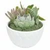 Top 10 ๐ Costa Farms 6 in. White Ceramic Cacti and Succulent Garden ๐ 1 Top 10 ๐ Costa Farms 6 in. White Ceramic Cacti and Succulent Garden ๐ -Pavestone || Costa Farms Shop costa farms indoor plants co cgd6 3 blis 64 1000