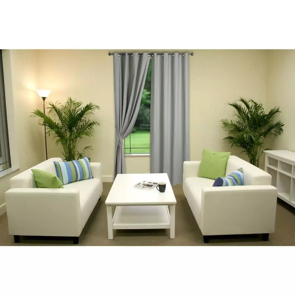 Best Pirce 😀 Costa Farms Cateracterum Palm Cat Palm Plant in 9.25 in. Gray Planter 😍 6 Best Pirce 😀 Costa Farms Cateracterum Palm Cat Palm Plant in 9.25 in. Gray Planter 😍 - Image 4