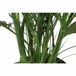 Best Pirce 😀 Costa Farms Cateracterum Palm Cat Palm Plant in 9.25 in. Gray Planter 😍 16 Best Pirce 😀 Costa Farms Cateracterum Palm Cat Palm Plant in 9.25 in. Gray Planter 😍 -Pavestone || Costa Farms Shop costa farms indoor plants co ct10 3 cyl fa 1000