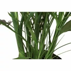 Best reviews of 🌟 Costa Farms 9.25 in. Cateracterum Palm (Cat Palm) Plant in Natural Decor Basket ⭐ -Pavestone || Costa Farms Shop costa farms indoor plants co ct10 3 sea fa 1000