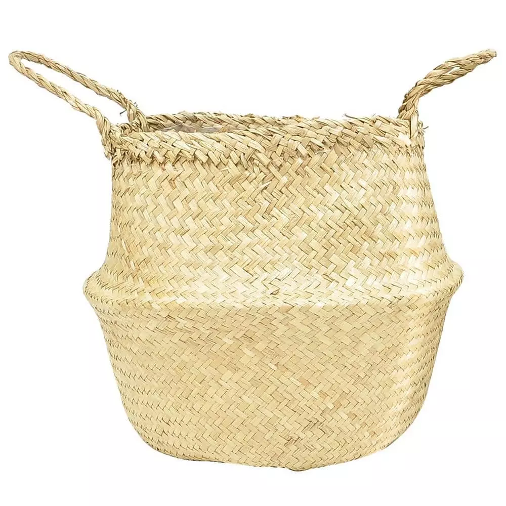 Top 10 🌟 Costa Farms 10 in. Dumb Cane, Dieffenbachia Plant in Natural Basket 😉 5 Top 10 🌟 Costa Farms 10 in. Dumb Cane, Dieffenbachia Plant in Natural Basket 😉 - Image 3