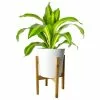 Discount π Costa Farms 10 in. Dracaena in White-Wood Decor Pot β 1 Discount π Costa Farms 10 in. Dracaena in White-Wood Decor Pot β -Pavestone || Costa Farms Shop costa farms indoor plants co dmc10 cylstd 64 1000
