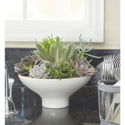 Cheap 🛒 Costa Farms 2.5 in. Grower's Choice Echeveria in 2 Tone Ceramic 🥰 9 Cheap 🛒 Costa Farms 2.5 in. Grower's Choice Echeveria in 2 Tone Ceramic 🥰 -Pavestone || Costa Farms Shop costa farms indoor plants co ech2 5 2to 4f 1000