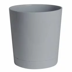 Best deal 🛒 Costa Farms Macho Fern Plant in 9.25 in. Gray Planter ⭐ -Pavestone || Costa Farms Shop costa farms indoor plants co mf10 3 cyl 1f 1000