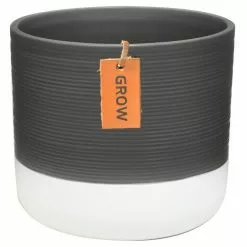 Best deal 😉 Costa Farms 6 in. Neanthebella Palm Plant in 2 Tone Ceramic 🛒 -Pavestone || Costa Farms Shop costa farms indoor plants co np07 3 2to 44 1000