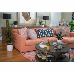 Best deal ๐ Costa Farms O2 for You House Plant Collection in 4 in. Decor Pot (3-Pack) ๐งจ 19 Best deal ๐ Costa Farms O2 for You House Plant Collection in 4 in. Decor Pot (3-Pack) ๐งจ -Pavestone || Costa Farms Shop costa farms indoor plants co o2fubam 76 1000