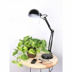 Wholesale 🎁 Costa Farms 6 in. Pothos Plant in Home Sweet Home White Ceramic 🧨 -Pavestone || Costa Farms Shop costa farms indoor plants co po60 3 hsh 4f 1000