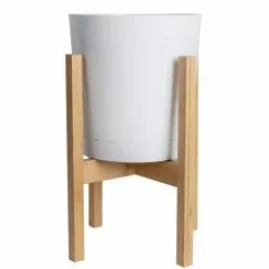 Discount ⌛ Costa Farms Sago Palm Tree in 10in. White Decor Pot ⭐ 7 Discount ⌛ Costa Farms Sago Palm Tree in 10in. White Decor Pot ⭐ -Pavestone || Costa Farms Shop costa farms indoor plants co rv10 3 cyl fa 1000