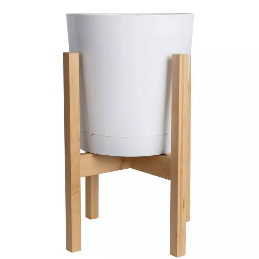 Discount ⌛ Costa Farms Sago Palm Tree in 10in. White Decor Pot ⭐ 5 Discount ⌛ Costa Farms Sago Palm Tree in 10in. White Decor Pot ⭐ - Image 3