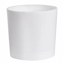 Best reviews of 🌟 Costa Farms Grower's Choice Snake (Sansevieria) Plant in 4 in. White Cylinder Pot ⭐ -Pavestone || Costa Farms Shop costa farms indoor plants co sn04 3 whtcy fa 1000