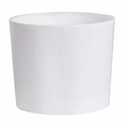 Promo 🎉 Costa Farms Spathiphyllum Peace Lily Plant in 6 in. White Cylinder Pot 👍 -Pavestone || Costa Farms Shop costa farms indoor plants co sy06 3 cyl fa 1000