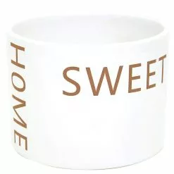 Wholesale 💯 Costa Farms Spathiphyllum Peace Lily Plant in 6 in. Home Sweet Home Ceramic 🧨 -Pavestone || Costa Farms Shop costa farms indoor plants co sy06 3 hsh fa 1000