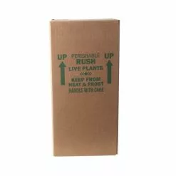 Wholesale 🧨 Costa Farms Trending Tropicals Raven ZZ Plant in 6 in. Ceramic Pot 🤩 -Pavestone || Costa Farms Shop costa farms indoor plants co zzb6sc 3 tr 1f 1000