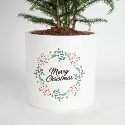 Deals 😉 Costa Farms Norfolk Island Pine Plant in 6 in. White Ceramic Planter ❤️ 10 Deals 😉 Costa Farms Norfolk Island Pine Plant in 6 in. White Ceramic Planter ❤️ -Pavestone || Costa Farms Shop costa farms indoor plants m nip p hyw 01 1f 1000
