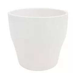 Deals 😀 Costa Farms Pink Desert Gems in 4 in. White Ceramic 🧨 -Pavestone || Costa Farms Shop costa farms succulents 4desgembleuroso 4f 1000