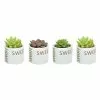Deals ⭐ Costa Farms 2 in. Succulent Assortment in Home Sweet Home Ceramic (4-Pack) 💯 -Pavestone || Costa Farms Shop costa farms succulents co 2suc 13 hsh 64 1000