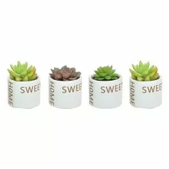 Deals ⭐ Costa Farms 2 in. Succulent Assortment in Home Sweet Home Ceramic (4-Pack) 💯
