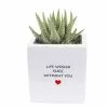 Best Sale 👍 Costa Farms 2.5 in. Grower's Choice Haworthia in Life Would Succ Ceramic ⭐ -Pavestone || Costa Farms Shop costa farms succulents co haw2 5 life 64 1000