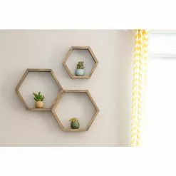 Top 10 💯 Costa Farms 2 in. Mini Unique Succulents in Round Grower Pot (25-Pack) 🥰 -Pavestone || Costa Farms Shop costa farms succulents co sucmini gp25 1f 1000