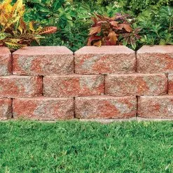 Outlet 🔥 Pavestone 4 in. x 11.75 in. x 6.75 in. Oaks Blend Concrete Retaining Wall Block 😀 -Pavestone || Costa Farms Shop oaks blend pavestone retaining wall blocks 81188 c3 1000