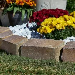 Brand new 🤩 Pavestone RumbleStone 10.5 in. x 3.5 in. x 5.25 in. Sierra Blend Concrete Edger 🔥 -Pavestone || Costa Farms Shop sierra blend pavestone concrete edging 95577 31 1000