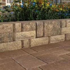 Best reviews of 👏 Pavestone RumbleStone Rec 10.5 in. x 7 in. x 1.75 in. Sierra Blend Concrete Paver 🥰 -Pavestone || Costa Farms Shop sierra blend pavestone concrete pavers 90977 4f 1000