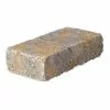 Coupon 👏 Pavestone RumbleStone Mini 7 in. x 3.5 in. x 1.75 in. Yukon Concrete Paver 🤩 -Pavestone || Costa Farms Shop yukon pavestone concrete pavers 91350 64 1000