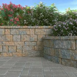 Pavestone || Costa Farms Shop -Pavestone || Costa Farms Shop yukon pavestone pool coping 79950 e1 1000