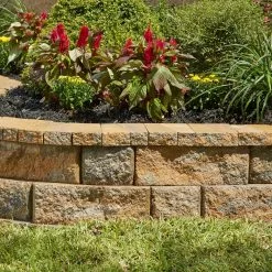 Outlet ❤️ Pavestone RockWall Large 6 in. x 17.5 in. x 7 in. Yukon Concrete Retaining Wall Block 👏 -Pavestone || Costa Farms Shop yukon pavestone retaining wall blocks 79850 d4 1000