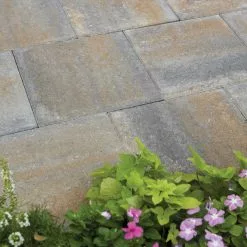 Pavestone || Costa Farms Shop -Pavestone || Costa Farms Shop yukon pavestone stepping stones 72650 e1 1000